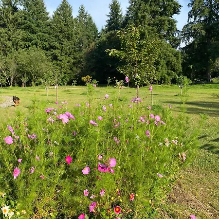 Maison Dans Parc Prive, Sports Et Loisirs Proche Golf Du Coudray Montceaux